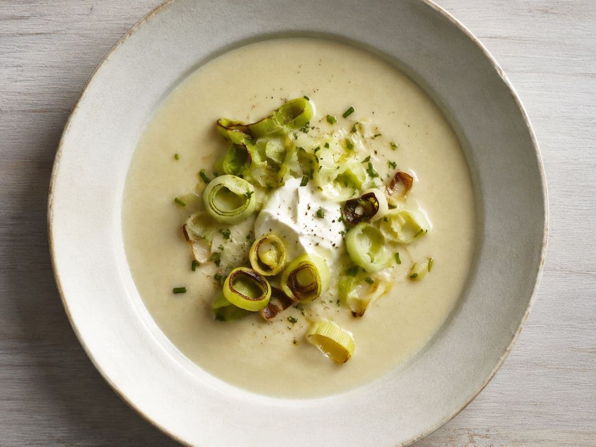 Vichyssoise, plated as one serving.