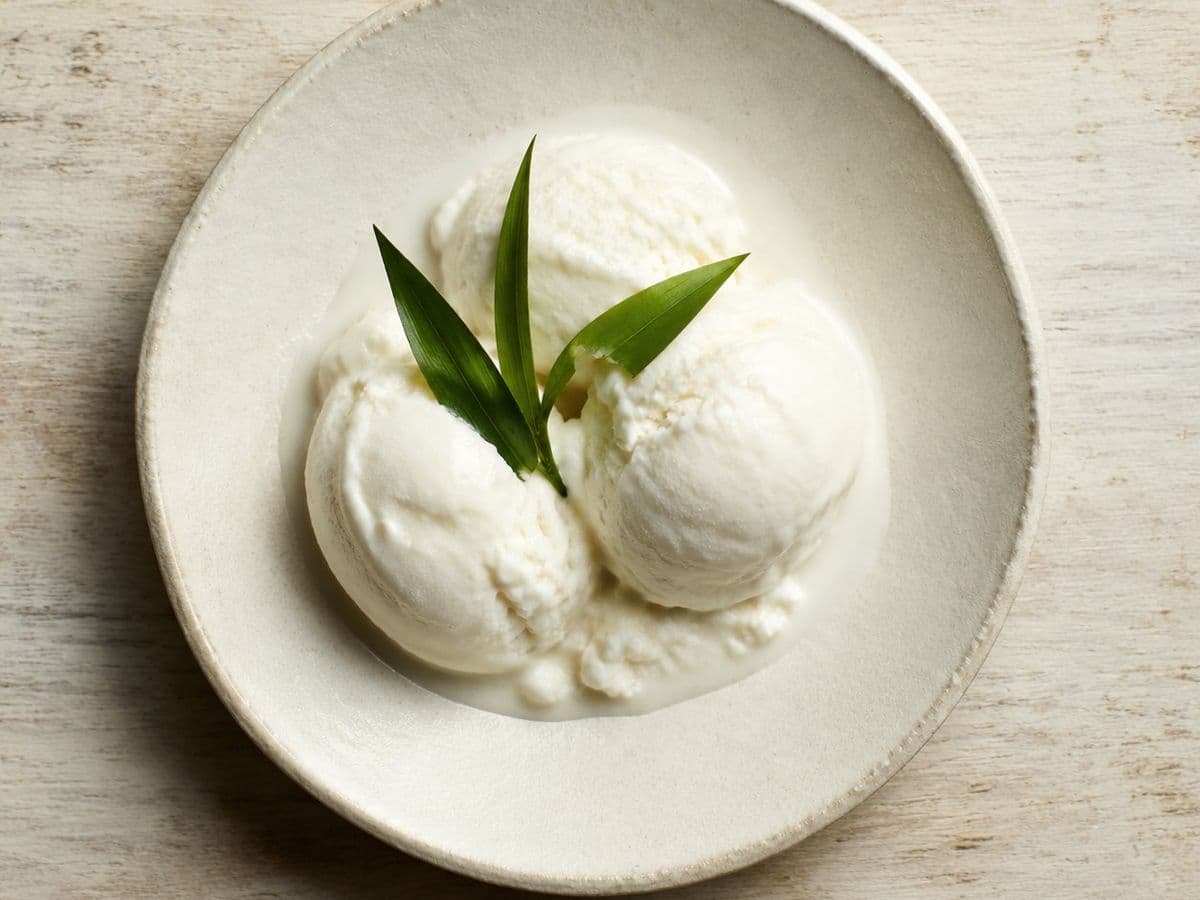 Coconut Ice Cream, plated as one serving.